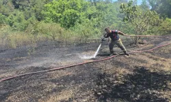 Bursa’da çöp yakma faciası! 4 dönüm arazi zarar gördü