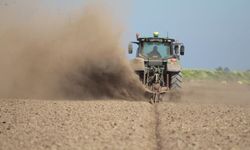 Bursa'da çeltik ekimi başladı: Tarlalardan yükselen tozlar dikkat çekiyor!
