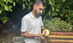 Bursa’nın mutfaklarında duyulmamış meslek: Enginarın kaderi bu bıçaklara emanet!