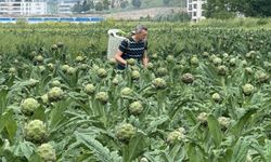Bursa’nın meşhur tescilli ürünü yok oluyor!