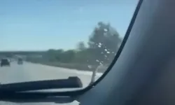 Bursa’da görenler gözlerine inanamadı: Otomobilin kaputunda korkutan misafir!