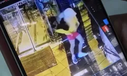 Bursa'da o görüntüler gündem oldu: Her gün gelip böyle soyuyor!