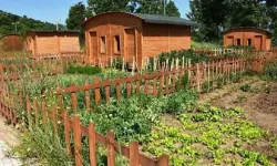 Hobi bahçesi olanlar dikkat: Meclis'ten yeni yaptırımlar resmiyet kazandı!