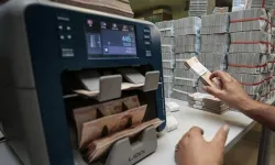 Hesabında 21 milyar dolarlık bakiye görünce neye uğradığını şaşırdı
