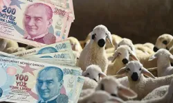 Bakan Yumaklı'dan dev müjde: Hayvancılığa 633 milyar TL'lik rekor destek!