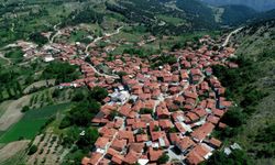 Mermer ocağı mücadelesinden marka zaferine! Bursa’nın Sorgun beyaz peyniri tescillendi
