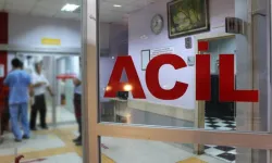 Bursa’da bahçe faciası! 4 metreden düşen adam hayatını kaybetti