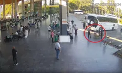 Bursa’dan yola çıktı, otobüs bagajında yakalandı! Tam 700 tane ele geçirildi