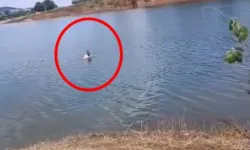 Bursa’da otomobil baraj sularına gömüldü! Sürücünün son saniye hamlesi hayatını kurtardı