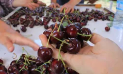 Dünya pazarından rekor talep! Bursa firmaları alım için harekete geçti