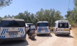Bursa’da zeytin tarlasında şüpheli ölüm!
