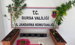 Bursa'da jandarmadan narkotik operasyonu