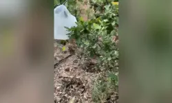 Diyarbakır Çüngüş’te uyuşturucu operasyonu: CHP ilçe başkanı ve oğlu gözaltında
