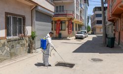 Bursa’da o mahallede haşere alarmı! Belediye ekipleri düğmeye bastı