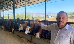 Bursa'da Avrupa Standartlarında süt hayvancılığı