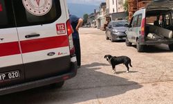 Bursa’da köpeğe çarpmamak için manevra yaptı: Motosikletiyle böyle devrildi!
