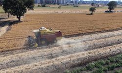 Bursa tarımında ezber bozan adım! Yağ krizine karşı Doğanköy’de düğmeye basıldı