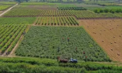 Bursa’da çiftçiye nefes aldıran sistem! Ürününü ekmeden fiyatını öğreniyor
