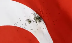 Türk bayrağına çirkin saldırı! Av tüfeğiyle ateş edildi