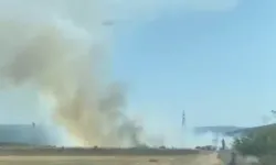 Bursa Nilüfer'de tarım alanlarında yangın! 12 ekip ve helikopterler seferber oldu