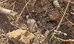 Bursa'da toprağın altından çıktı! 129 yıllık Fransız yapımı 2 el bombası bulundu