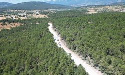 Bursa Büyükşehir'den Keles'e dev yol hamlesi! 7 kilometrelik güzergah yenileniyor