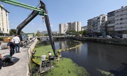 Bursa'da derelerde alarm veren görüntü! Ekipler hemen harekete geçti
