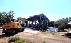 Bursa’da zeytinliğe kaçak depo yaptılar! 524 metrekarelik yapı yıkıldı