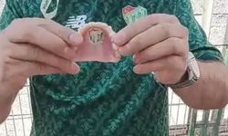 Bursaspor sevdası sınır tanımadı! Damağına yaptırdığı arma görenleri şaşkına çevirdi