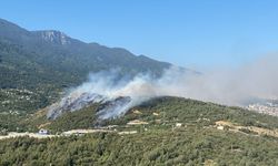 Uludağ’ın eteklerinde yangın alarmı! Bursa’da 3 bölgede alevler yükseldi