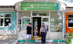 Bursa’da Dünya Köpek Günü’nde dostlara yuva çağrısı!