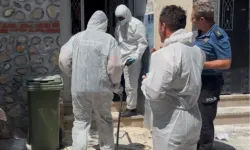 Bursa’da korkutan pire istilası! 3 katlı binadan 1’i ölü 2 köpek ve 16 hayvan çıkarıldı