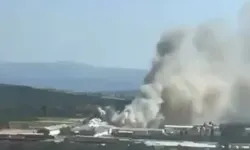 Bursa’da tavuk çiftliği alevlere teslim oldu!