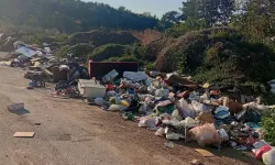 Bursa Gemlik’te hayvan pazarı için sert eleştiri!