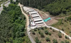 Bursa’da hayvanseverleri kızdıran karar! “Ziyaret yasağı kaldırılsın”