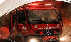 Bursa’da orman yangını riski! Bakan Yumaklı’dan vatandaşlara uyarı