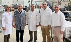 Bursa'nın kestane şekeri dünya pazarında kendine yer buldu