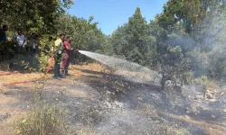 Bursa’da ormanlık alanda yangın paniği! Ekipler alarma geçti