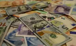 Dolar kaç TL oldu, Euro ne kadar? (2 Ağustos Pazar Döviz Kurları)