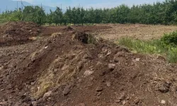 Bursa’da kimyasala 5 kuruş ödemiyor! 100 dönümlük bahçede uyguladığı yöntem dikkat çekti