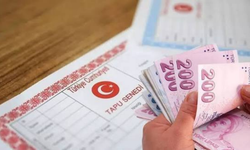 Bursa’da icradan milyonluk tarlalar ve zeytinlikler satışa çıktı! İlçe ilçe tüm fiyatlar
