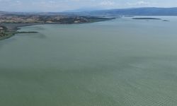 Bursa Uluabat Gölü yeşile döndü! Ramsar korumasındaki göl için kritik uyarı