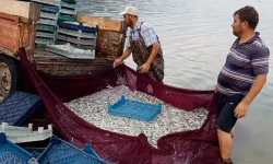 İznik Gölü'nde İkinci Gümüş Balığı Dönemi Başladı