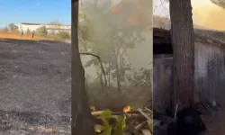 Bursa’da fabrika yakınında yangın! Ekipler alarma geçti