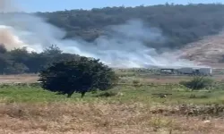 Kestel'de çıkan orman yangınına havadan ve karadan müdahale ediliyor
