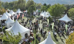 Bursa’da Gastronomi Festivali başlıyor! 165 stant ve ünlü şefler geliyor