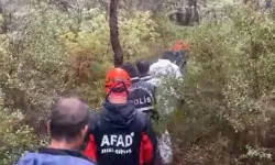 Bursa'da aylardır aranan kişiden acı haber!   Ormanda bulundu