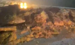 Bursa Uludağ yolunda toprak kayması!