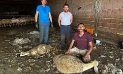 Bursa’da milyonlarca liralık ürün çöpe gidiyor!