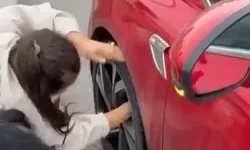 Bursa'da korkan yavru kedi otomobilin tekerine sığındı